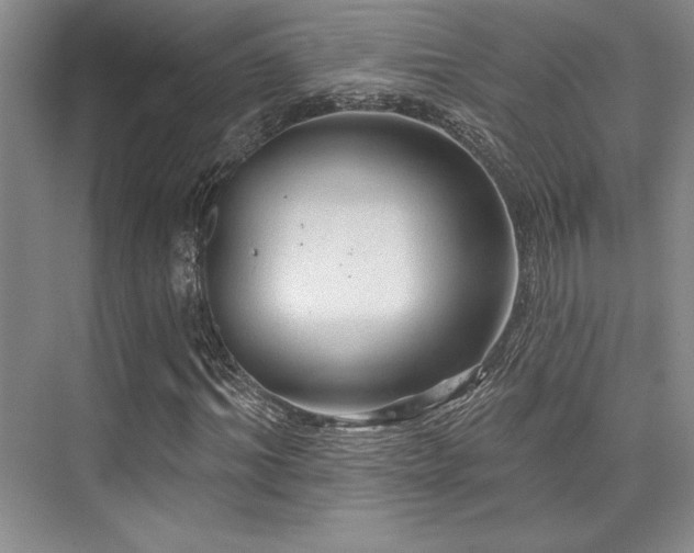 X0000076080964200609221218