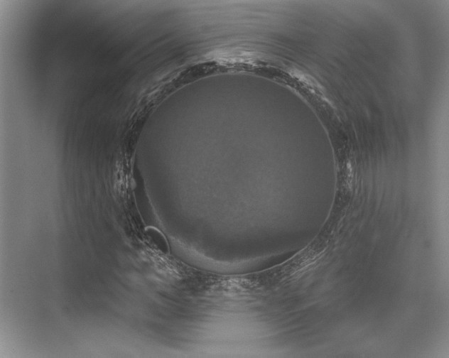 X0000076080966200609221218