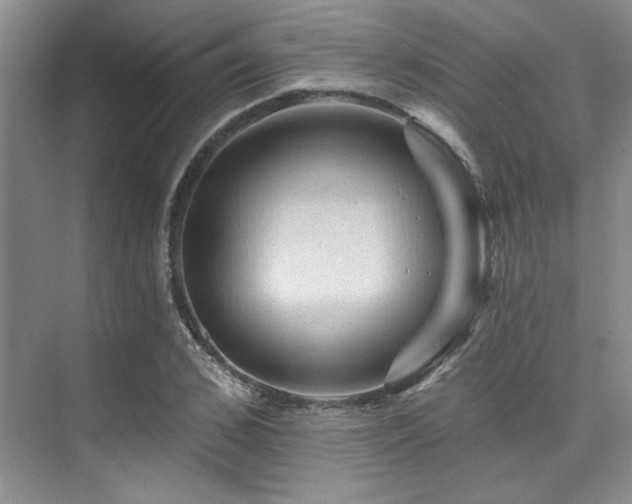 X0000076080976200609221218