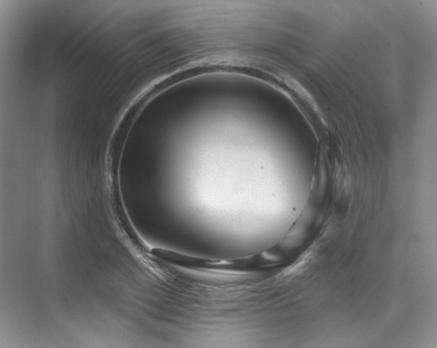 X0000076080981200609221218