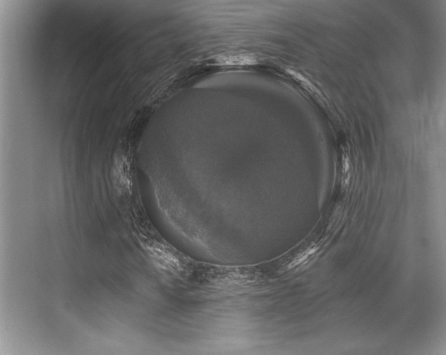 X0000076081010200609221217