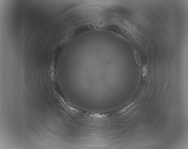 X0000076081011200609221217