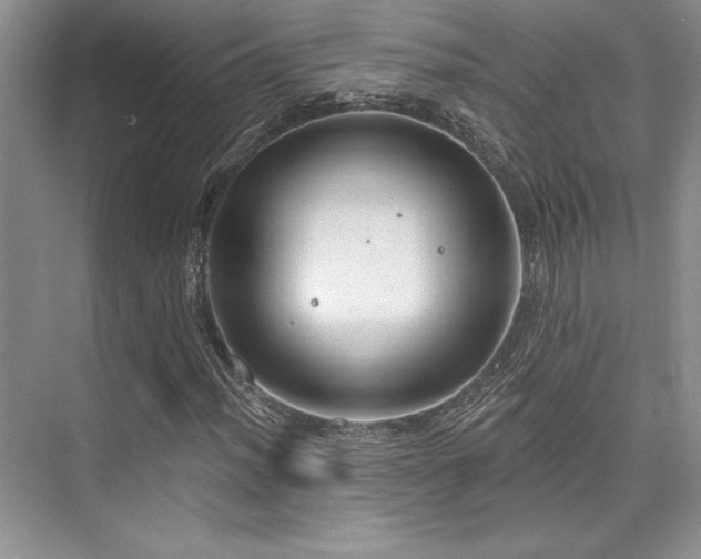 X0000076081012200609221217