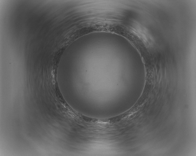 X0000076081013200609221217