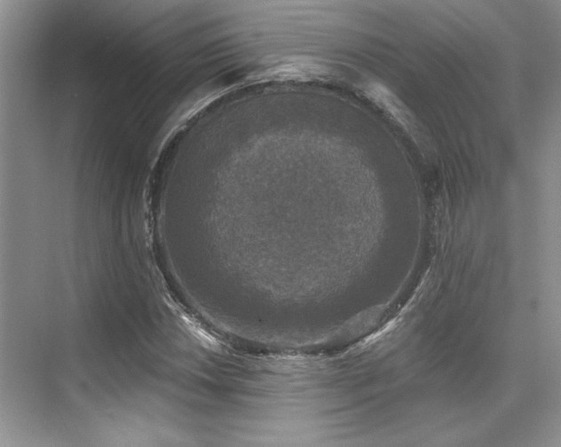 X0000076081018200609221217