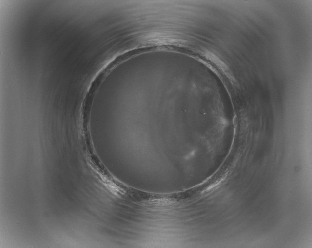 X0000076081023200609221217