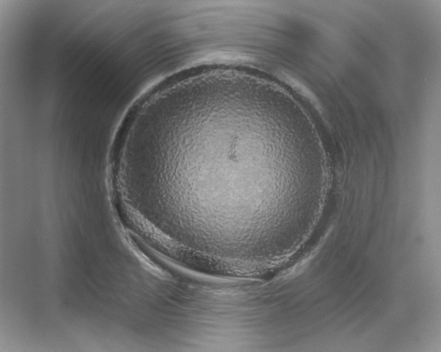 X0000076081029200609221217