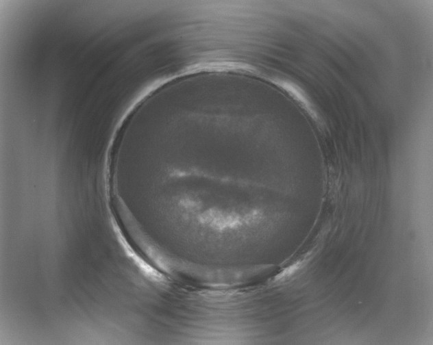 X0000076081046200609221217