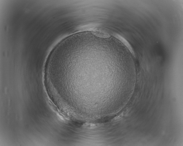 X0000076081051200609221217