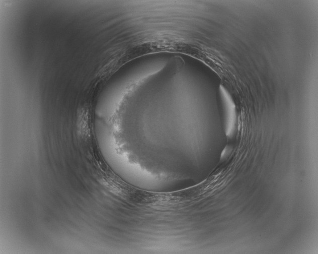 X0000076081060200609221217