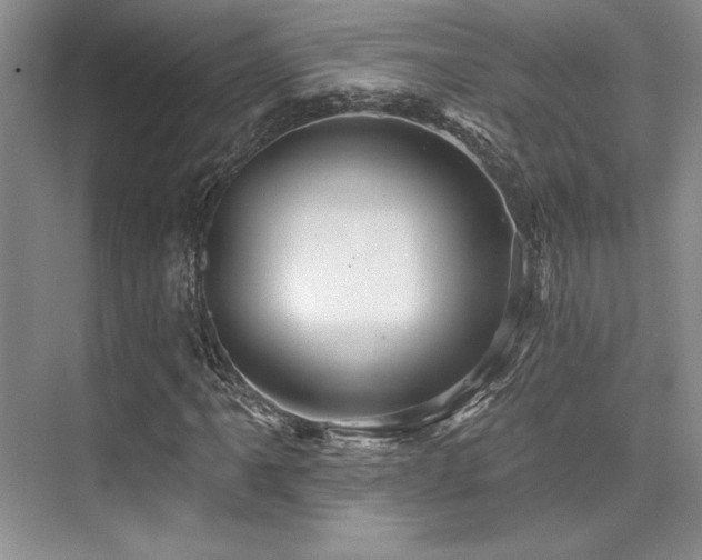 X0000076081061200609221217