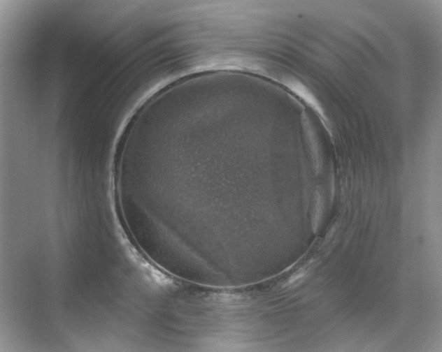X0000076081088200609221216