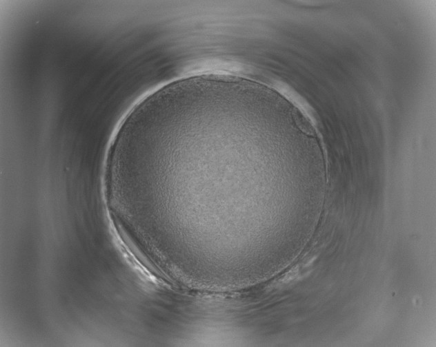 X0000076081104200609221216