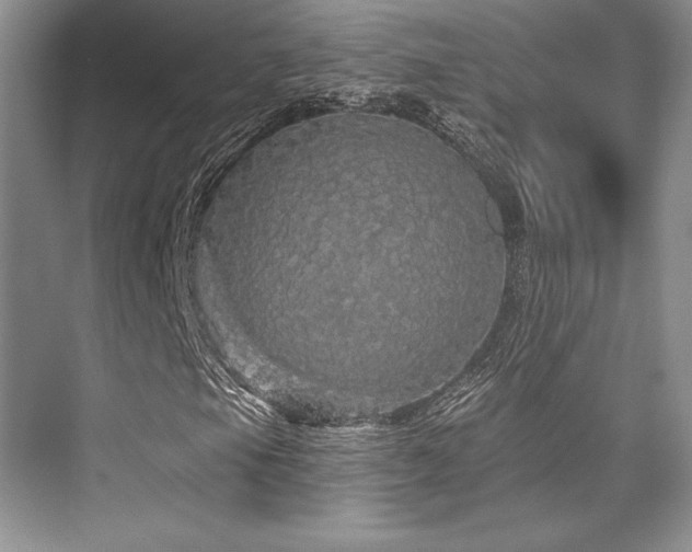 X0000076081105200609221215