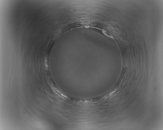 X0000076081106200609221215