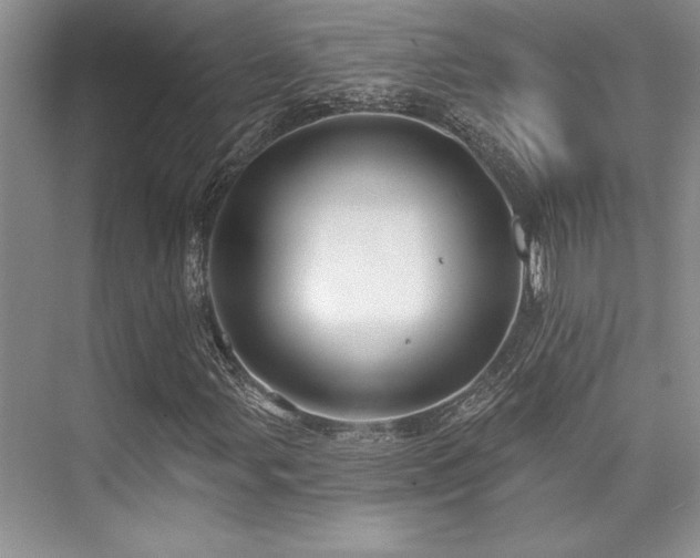 X0000076081107200609221215
