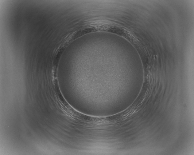 X0000076081108200609221215