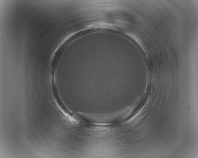 X0000076081115200609221215