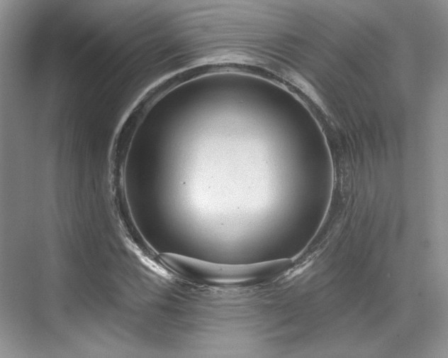 X0000076081116200609221215
