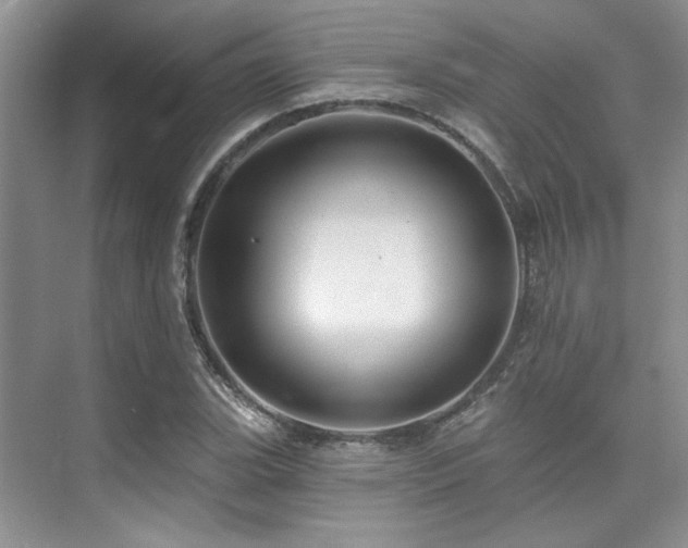 X0000076081119200609221215