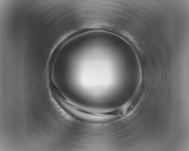 X0000076081122200609221215