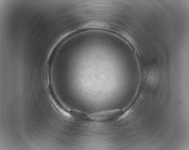 X0000076081123200609221215