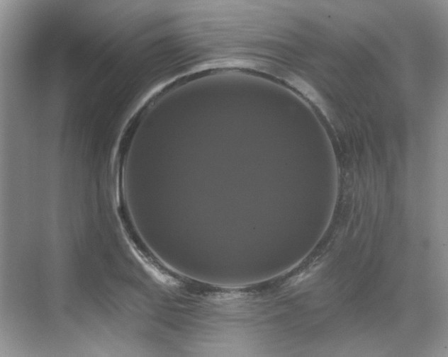 X0000076081127200609221215