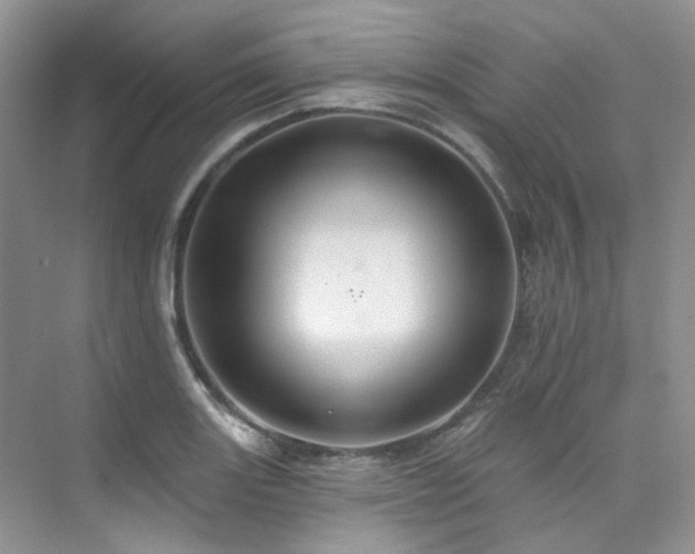 X0000076081131200609221215