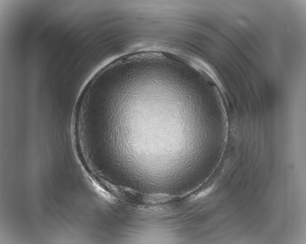 X0000076081149200609221216