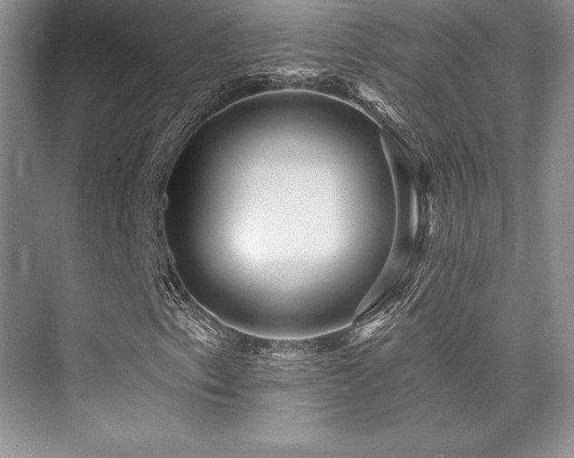 X0000076081153200609221215