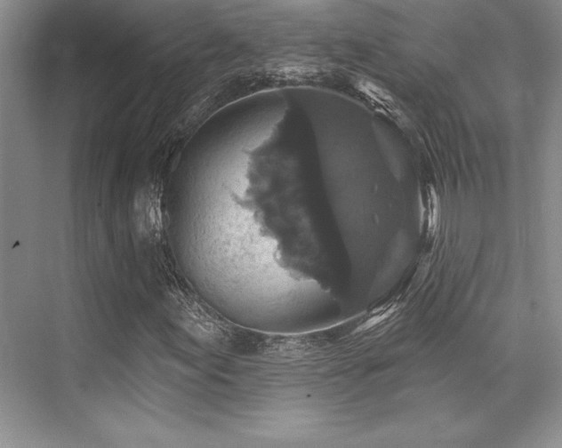 X0000076081155200609221215