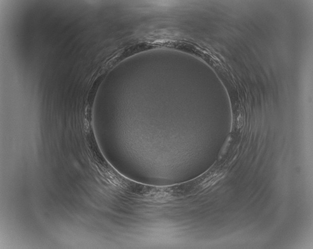 X0000076081156200609221215