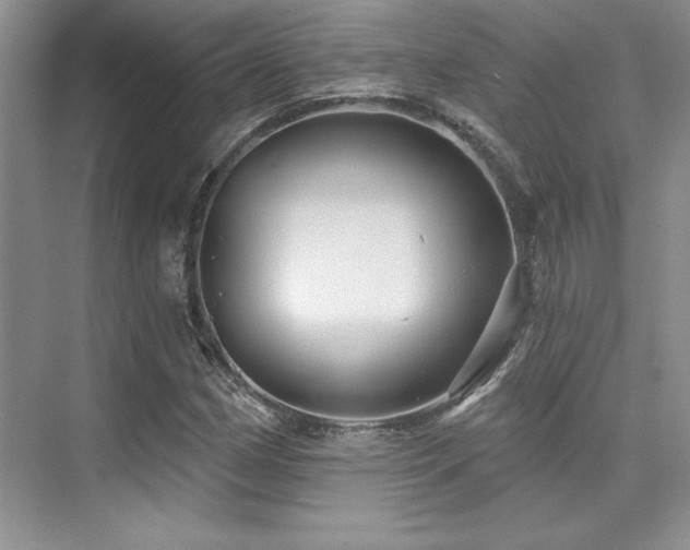 X0000076081162200609221215