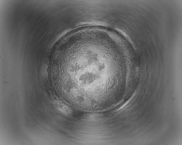 X0000076081163200609221215