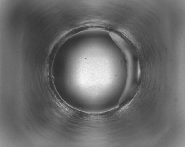 X0000076081164200609221215