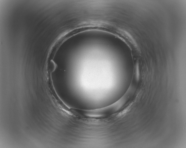 X0000076081172200609221215