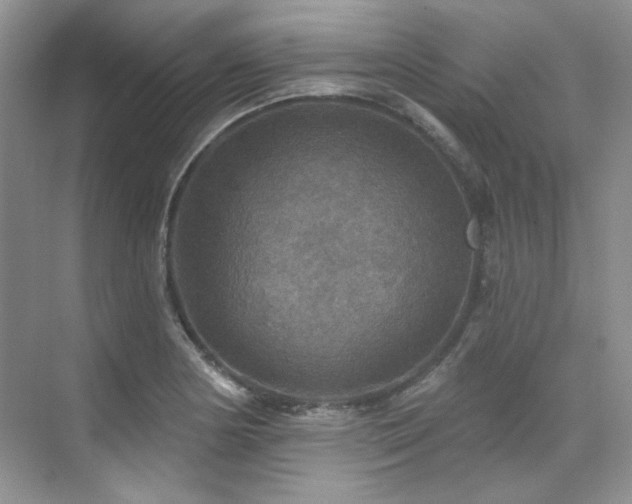 X0000076081178200609221215
