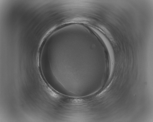 X0000076081180200609221215