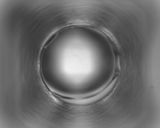 X0000076081188200609221214