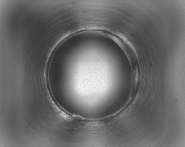 X0000076081189200609221214