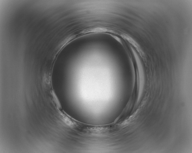 X0000076081193200609221214