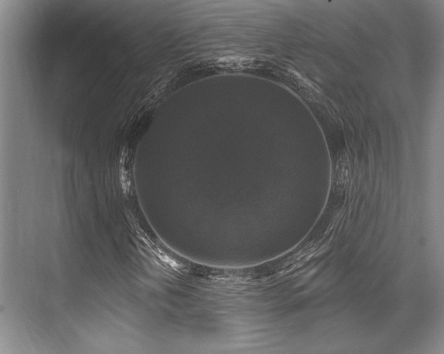 X0000076081202200609221213