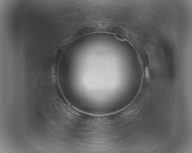 X0000076081203200609221213