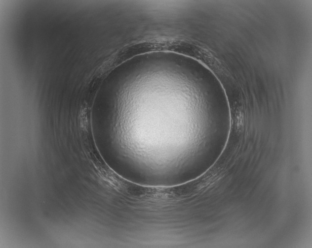 X0000076081204200609221213