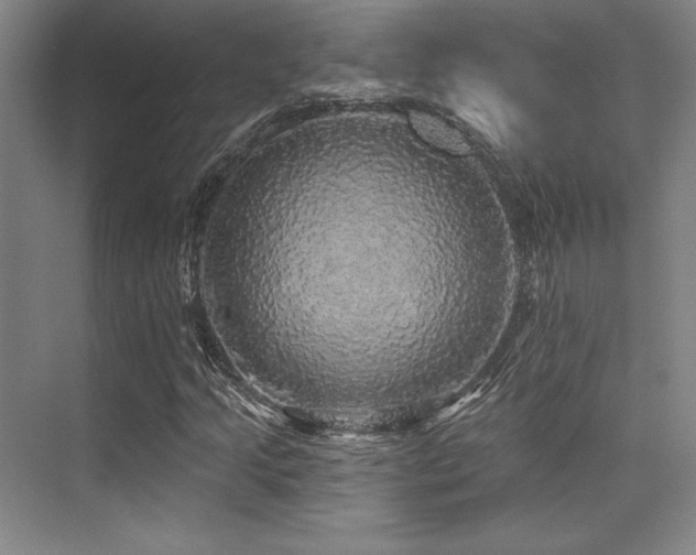 X0000076081205200609221213