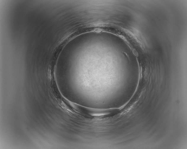 X0000076081209200609221214