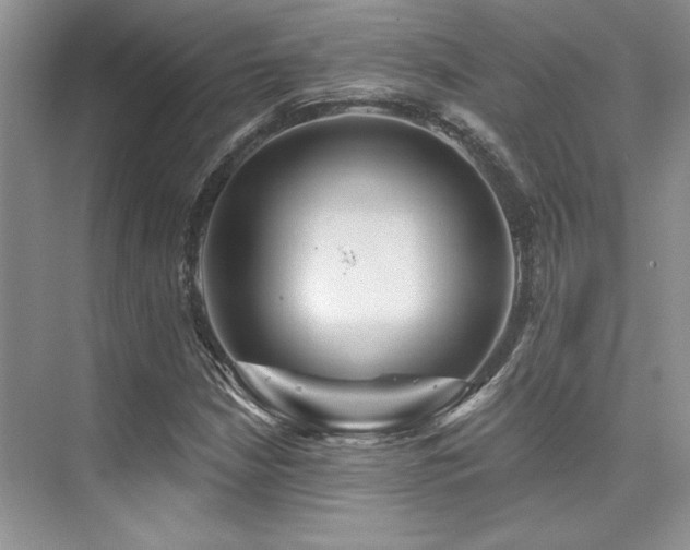 X0000076081210200609221214