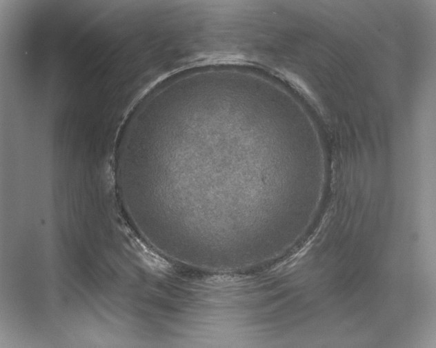 X0000076081212200609221214