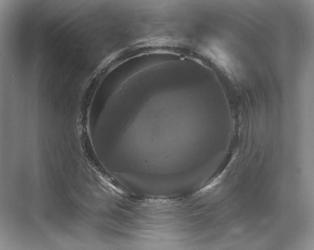 X0000076081213200609221214