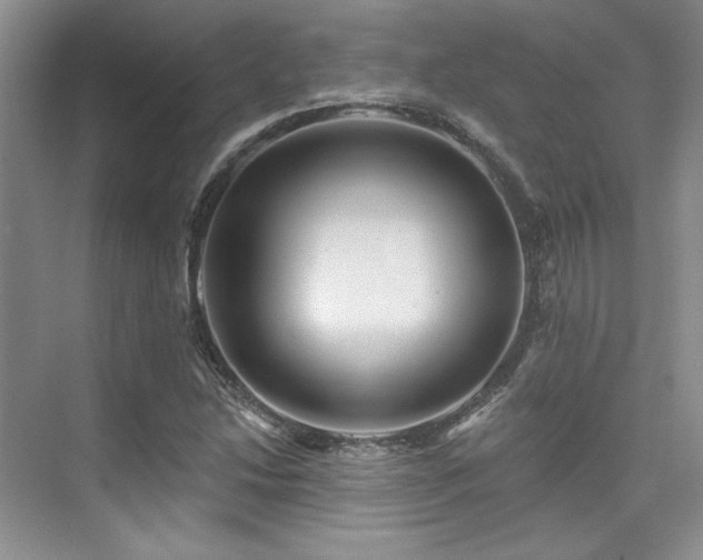 X0000076081214200609221214